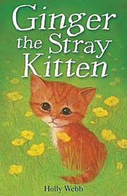 Ginger the Stray Kitten