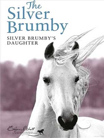 Silver Brumby's Daughter