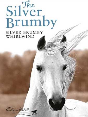 Silver Brumby Whirlwind
