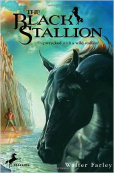 The Black Stallion